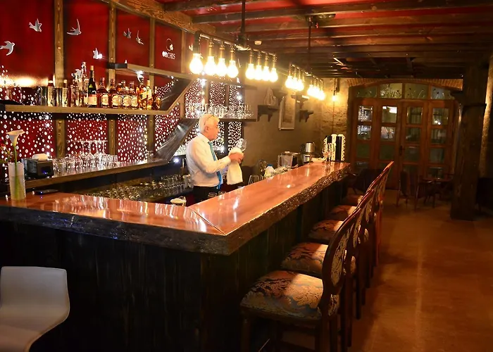 Hotel Orchis Ayvalı